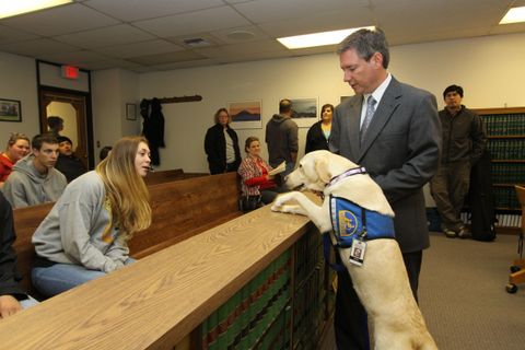 Courthouse dogs assistance dogs Lexipol Courthouse dogs assistance dogs Lexipol