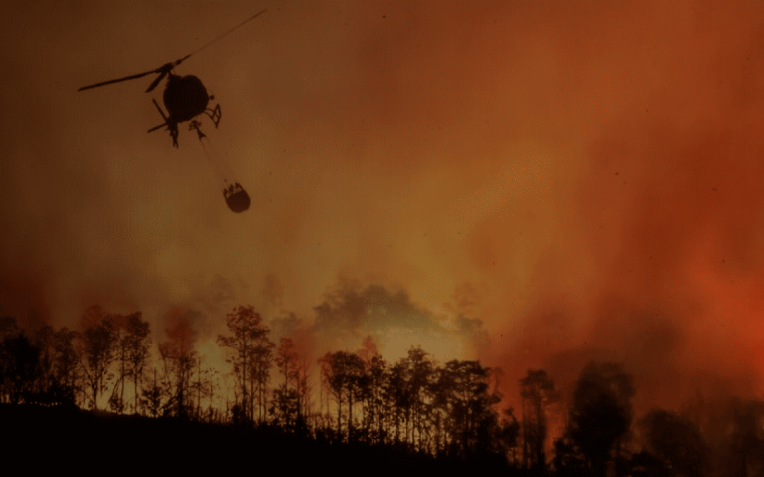 Fear and Fire: What Wildland Firefighting Teaches Us About Harnessing Fear