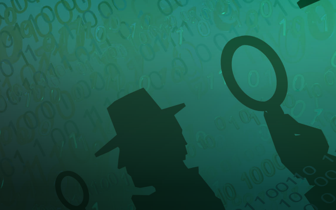 Amateur Websleuth Groups: A Rapidly Evolving Risk for Police