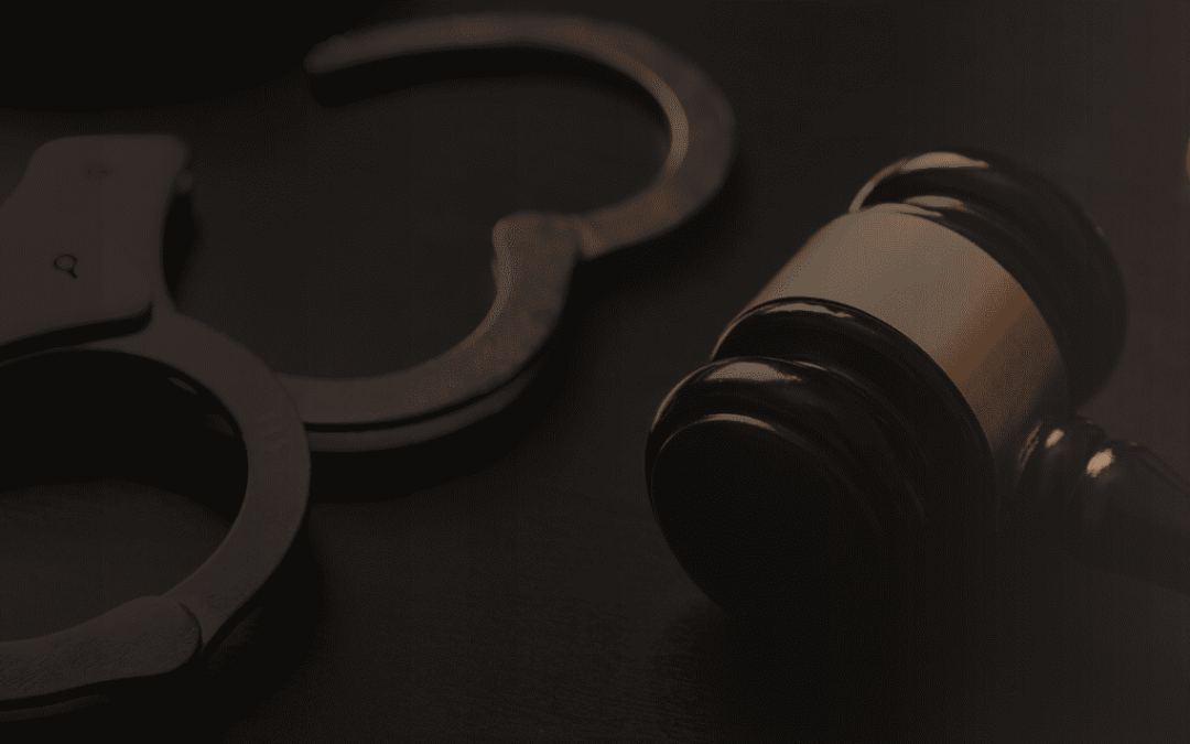 Using Case Law to Identify Police Use of Force Risks