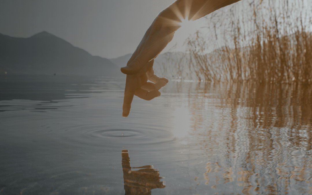 Safeguarding Our Heroes: A Holistic Approach to First Responder Safety and Wellness