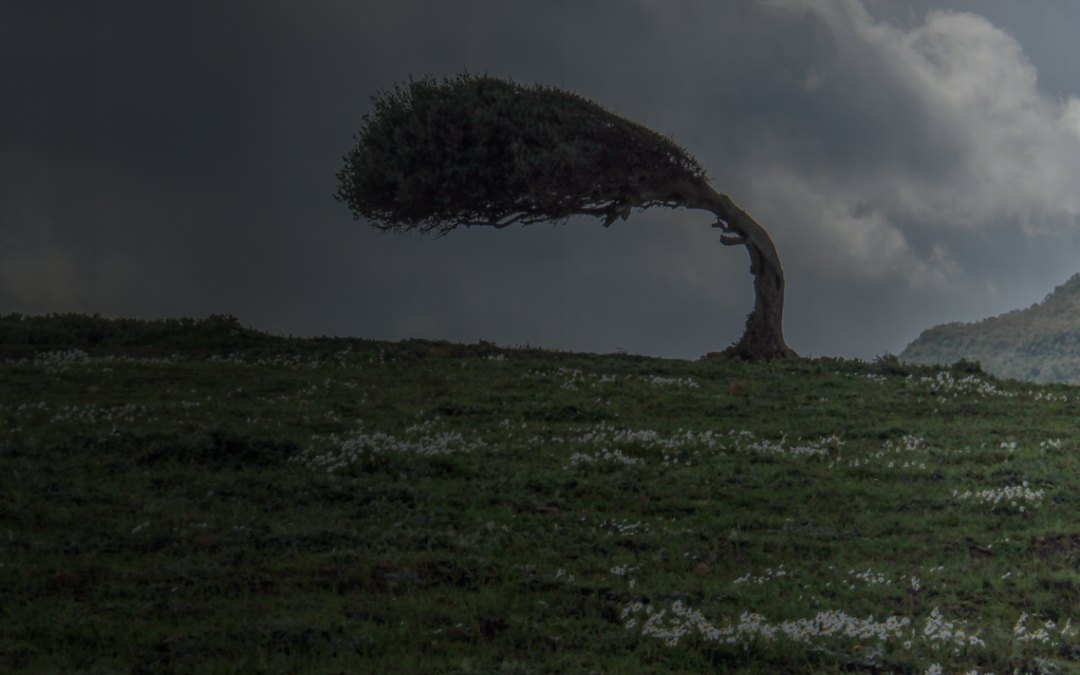 Strengthening Resiliency: 5 Actionable Solutions to Improve Wellness