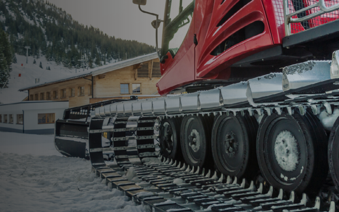 Is a Sno-Cat More Like a Dead Canary or an Elephant?