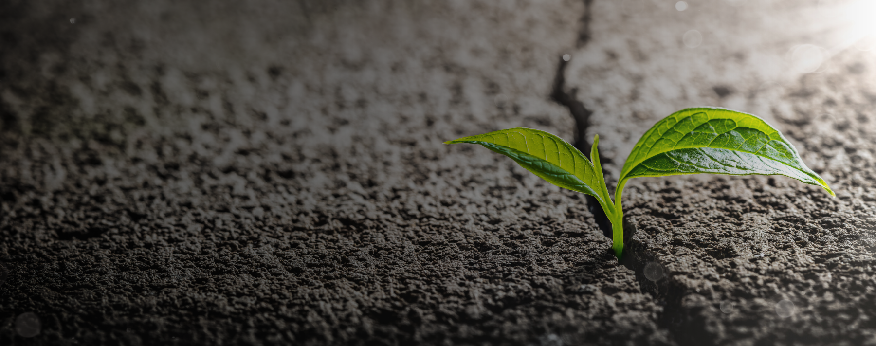How to Survive — and Thrive — in Corrections