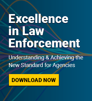 WP Performance Excellence